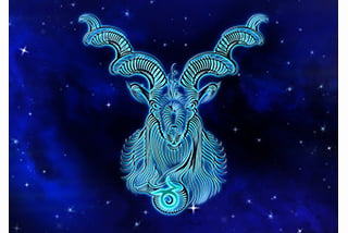 2022.02.12.stenbuk 320×214